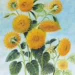 Teddybear Sunflowers