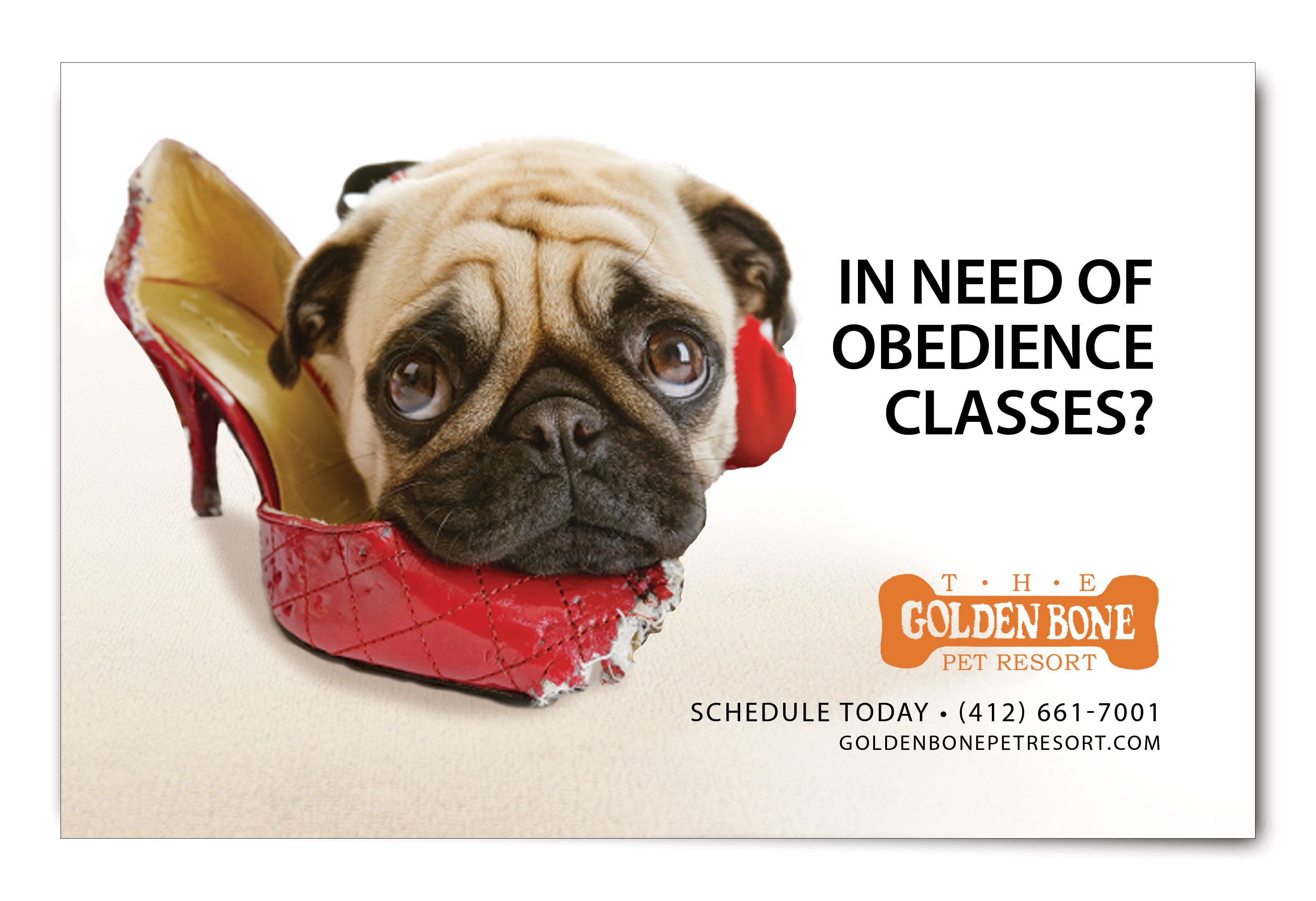 The Golden Bone Pet Resort Ad